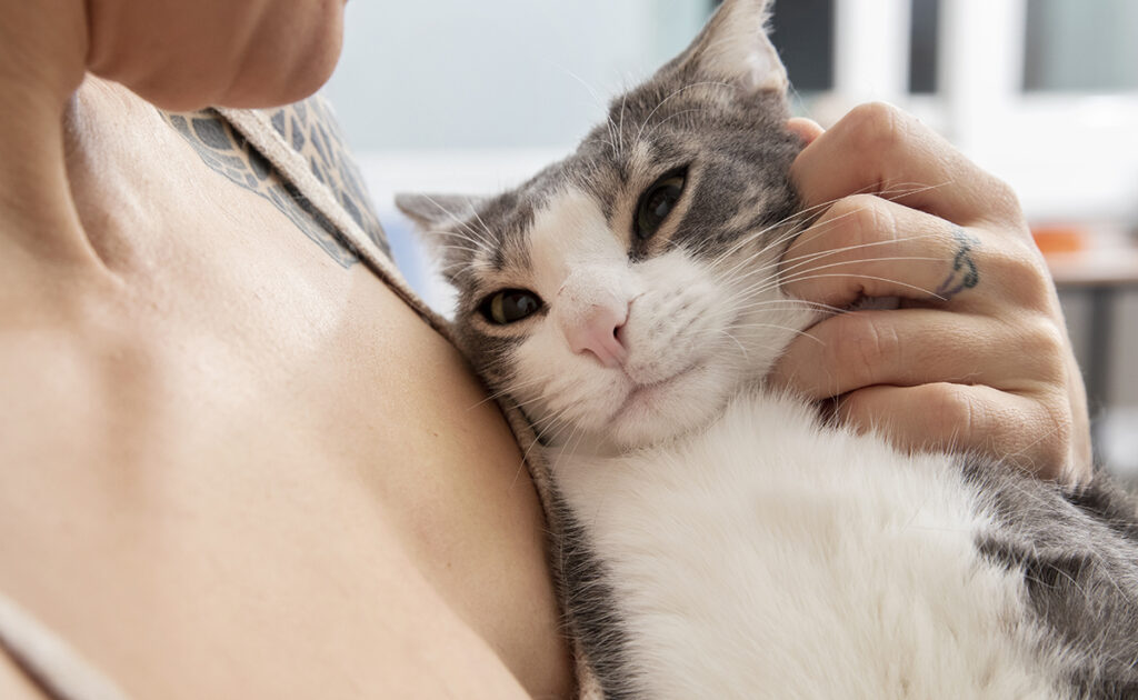 Acupuncture pour chat : est-ce efficace ? Dans quels cas ?