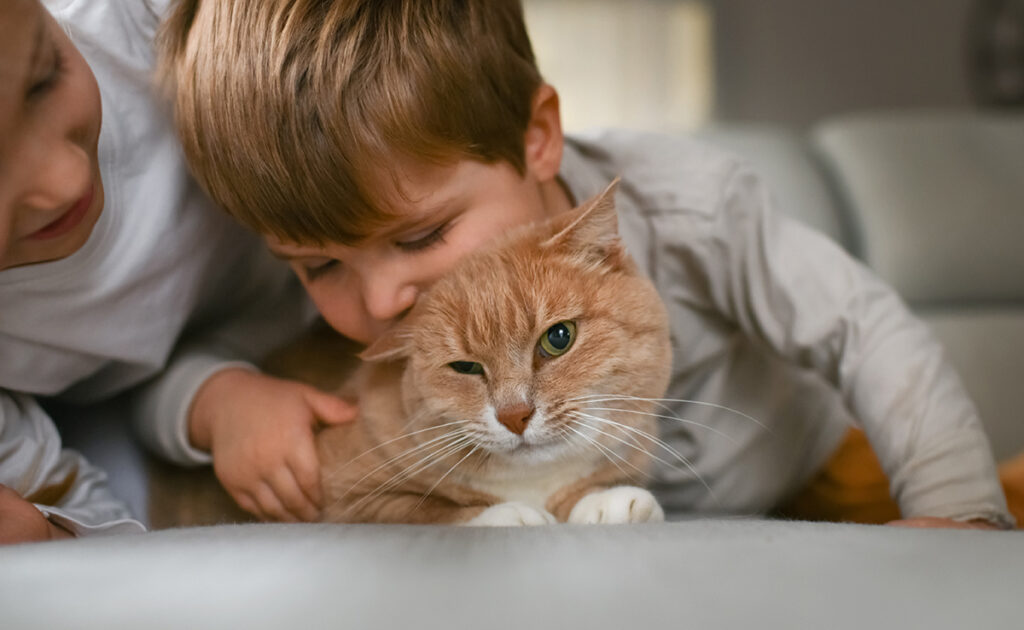 Comment annoncer la mort du chat de la famille à ses enfants ?