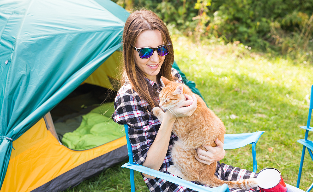 Faire du camping avec son chat : 14 conseils et bonnes pratiques !