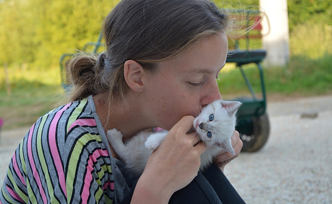 Les chats aiment-ils qu'on leur fasse des bisous ?