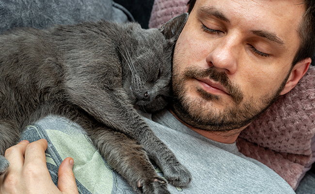 Mon chat dort sur moi : pourquoi ce comportement ?