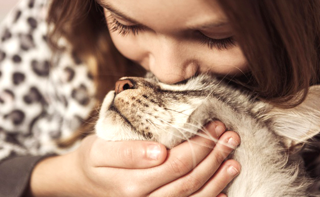 Chat à la maison : quels bienfaits pour vos enfants ?