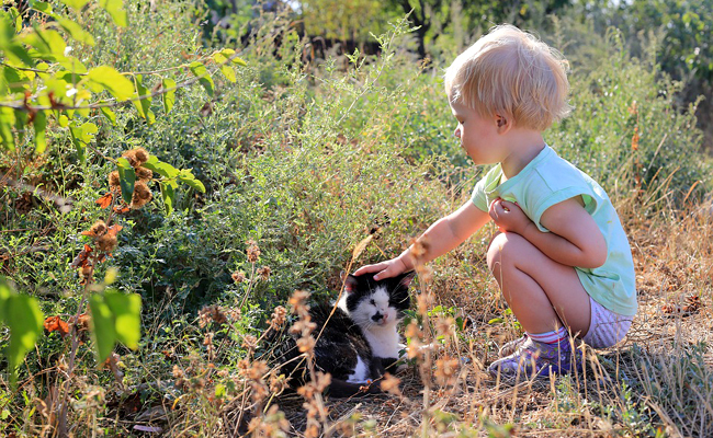 Comment apprendre à son enfant à respecter le chat ?