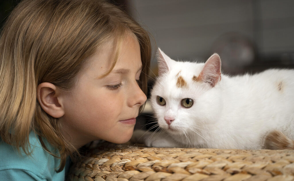 Répartir les tâches en famille pour s'occuper du chat : 6 conseils !