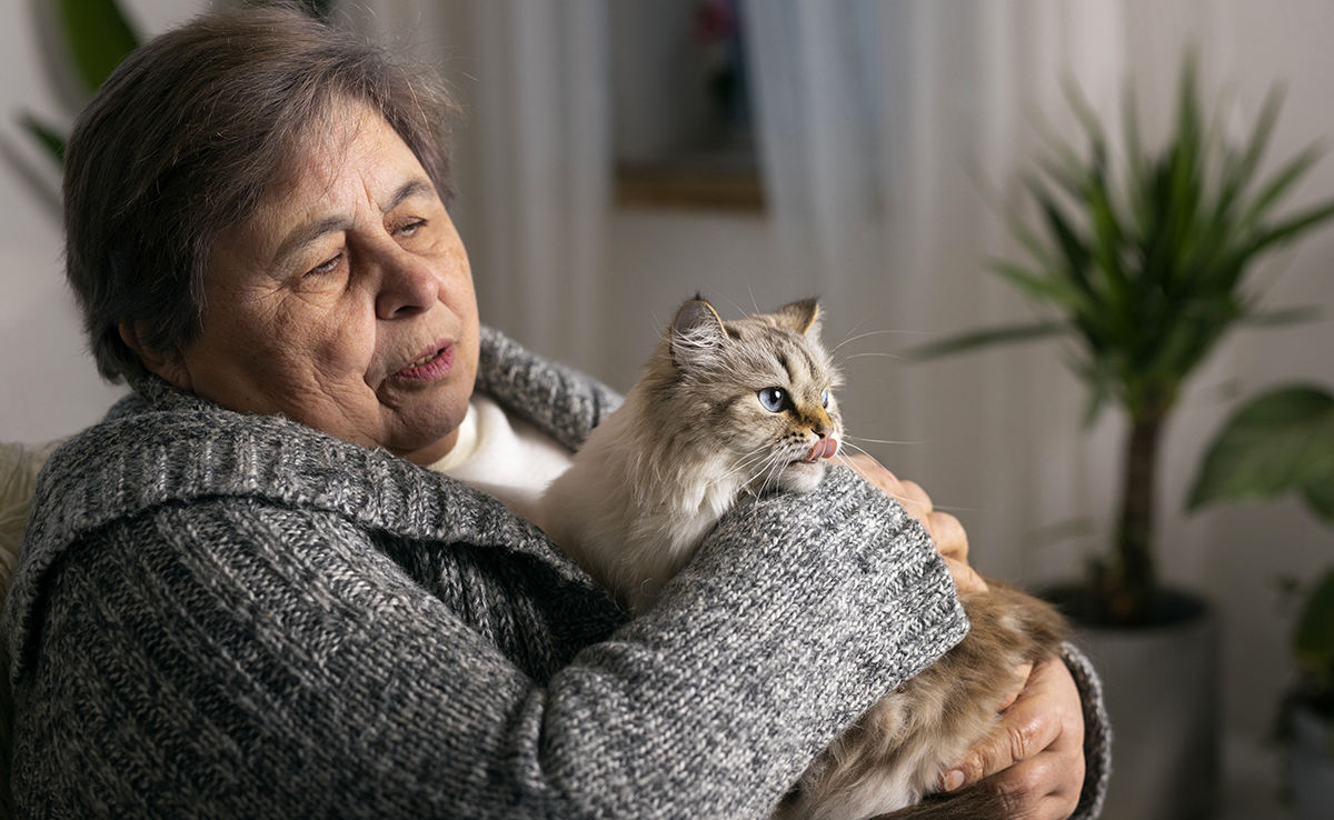 Chat en maison de retraite : les nouvelles règles !