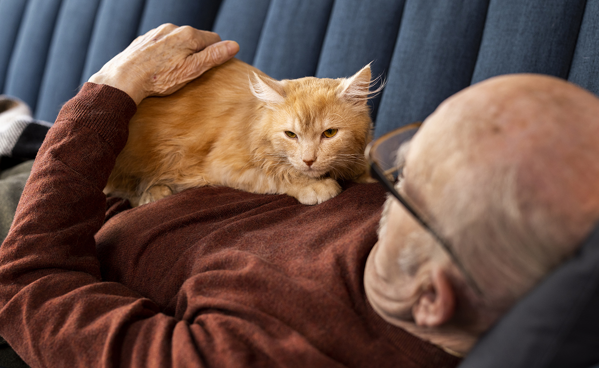 Comment anticiper l’avenir de mon chat après ma mort ?