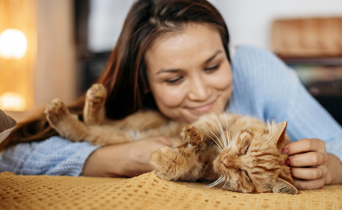 Considérer son chat comme un enfant : quelles limites ?