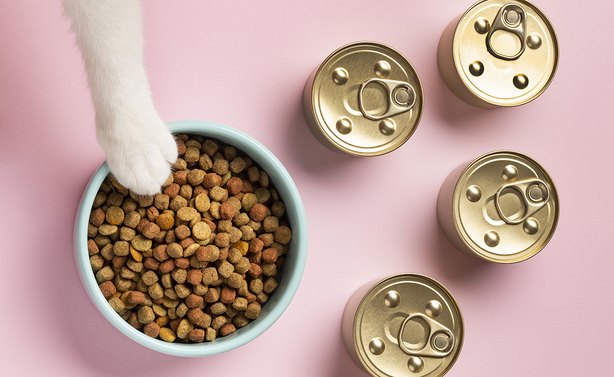 Comment bien conserver pâtées et croquettes pour chat ?