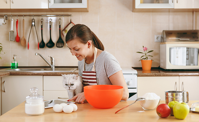 Cuisiner pour son chat : 8 erreurs à ne pas faire !