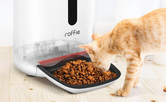 Distributeur de croquettes pour chat : avantages, inconvénients, prix