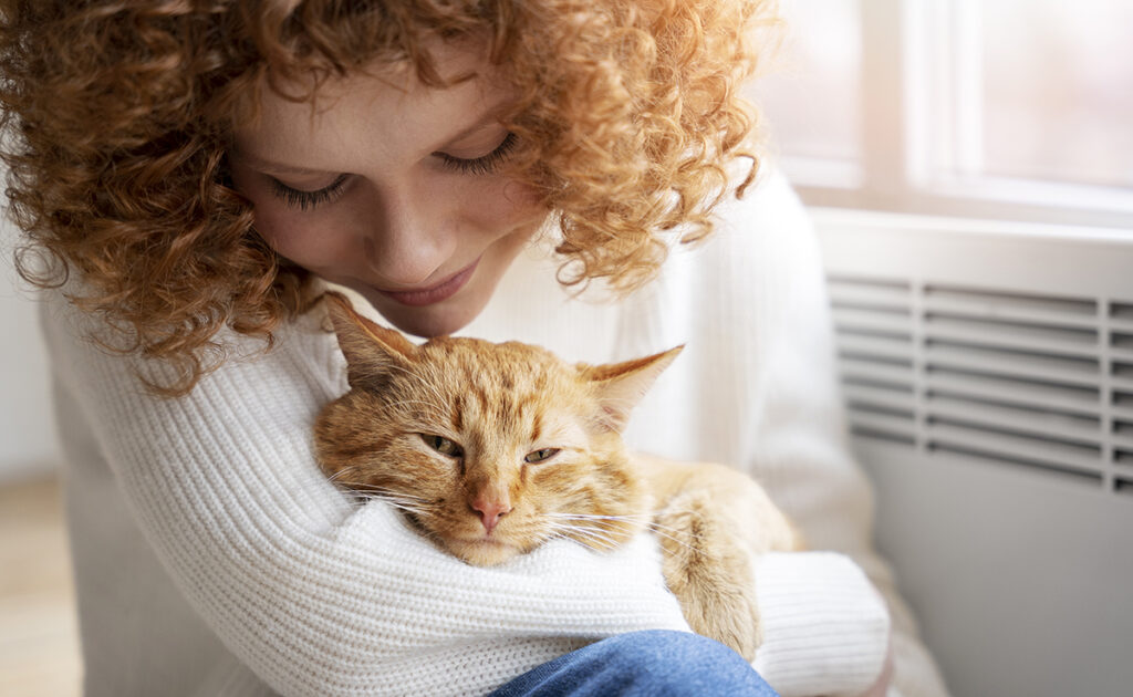 A-t-on le droit de faire empailler son chat bien aimé ?