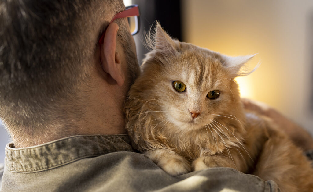 9 conseils pour bien s'entendre avec son chat !