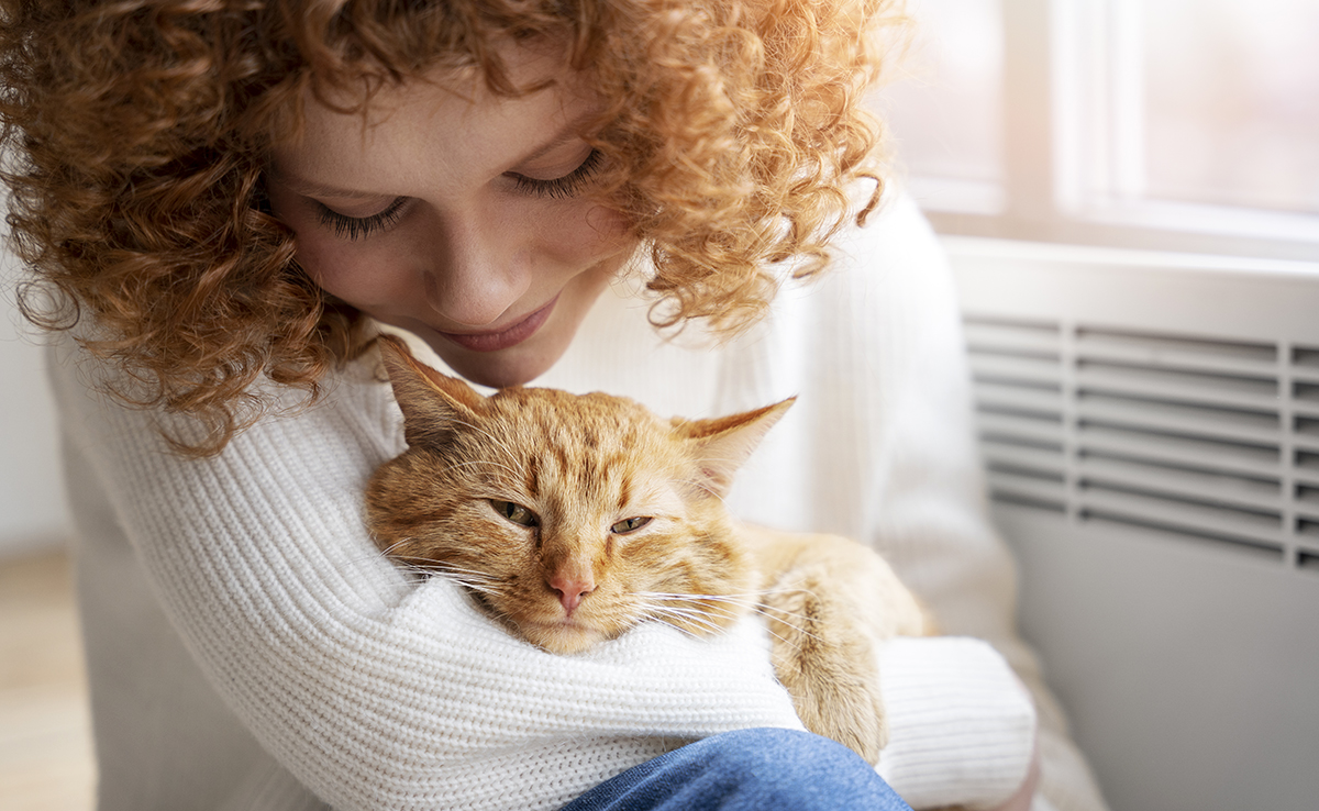 Les chats aiment être flattés, vrai ou faux ?