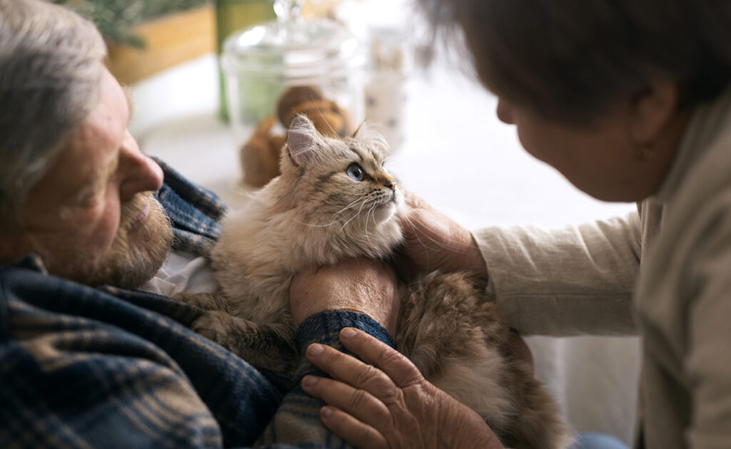 Comment trouver un garde de chat sûr et fiable ?