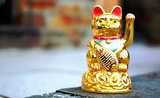 Maneki Neko, chat japonais qui porte bonheur !