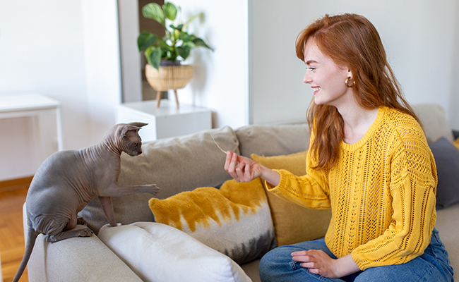 Parler à son chat comme à un bébé : bien ou pas bien ?