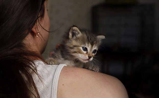 Personne à chat : 10 signes infaillibles qui montrent que vous en êtes !