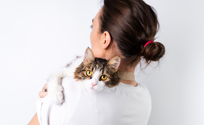 Pourquoi mon chat me lèche-t-il les cheveux ?