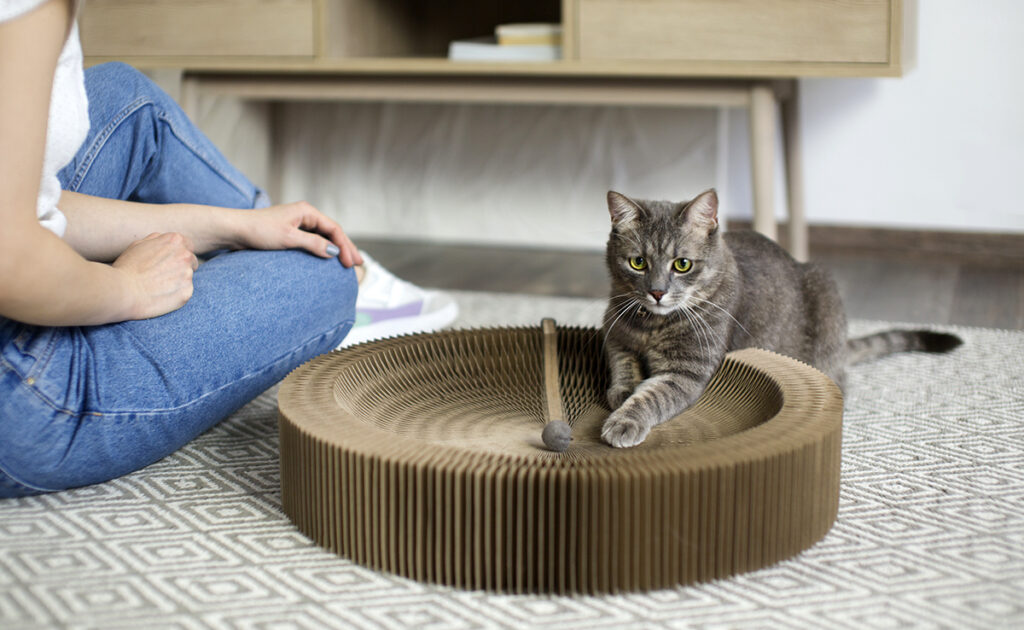 Purger son chat : 3 vermifuges naturels pour chat !